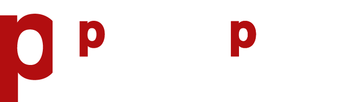 Logo Plaikner